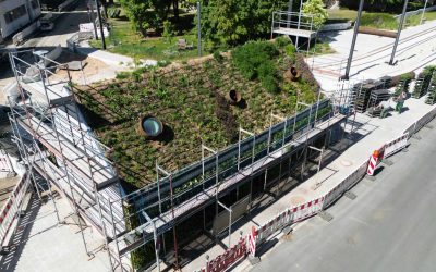 Straßenbahnlinie 7: Haltestellengebäude rundum grün