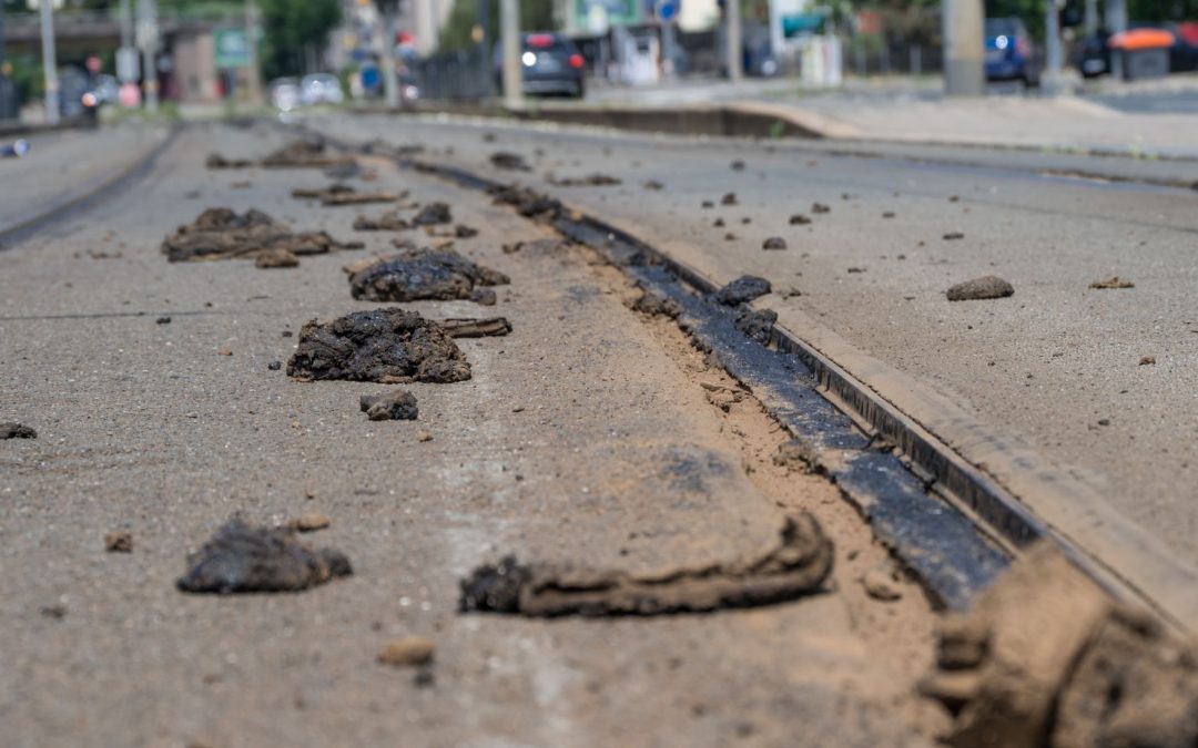 Hitzeschäden bei der Straßenbahn: Mit Hochdruck zurück auf die Schiene