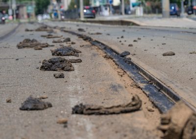 Hitzeschaden am Straßenbahnetz: Bitumen hat sich aus den Fugen gelöst und sich auf Schienen und Asphalt verteilt.